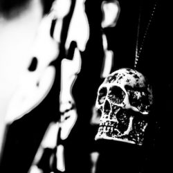 IMG_9934 IMG_9934